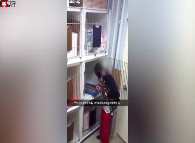 Video :caught consuming kitty litter box contents